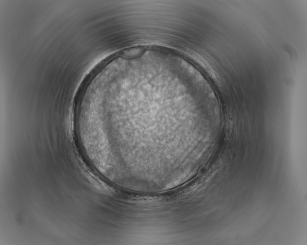 X0000112031076200908311211