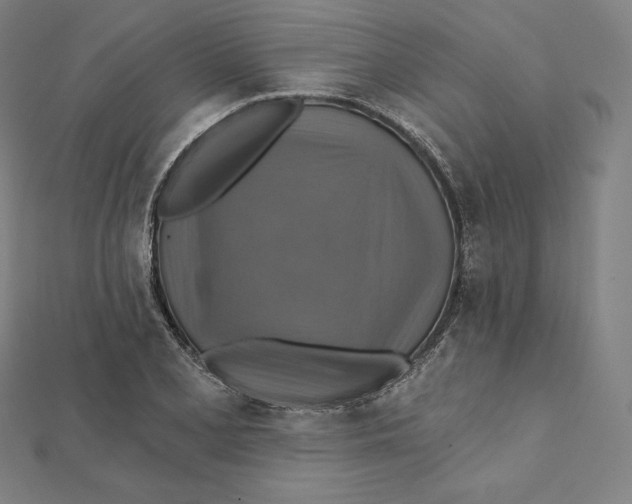 X0000112031077200908311211