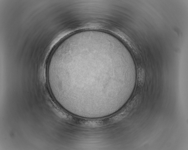 X0000112031078200908311211