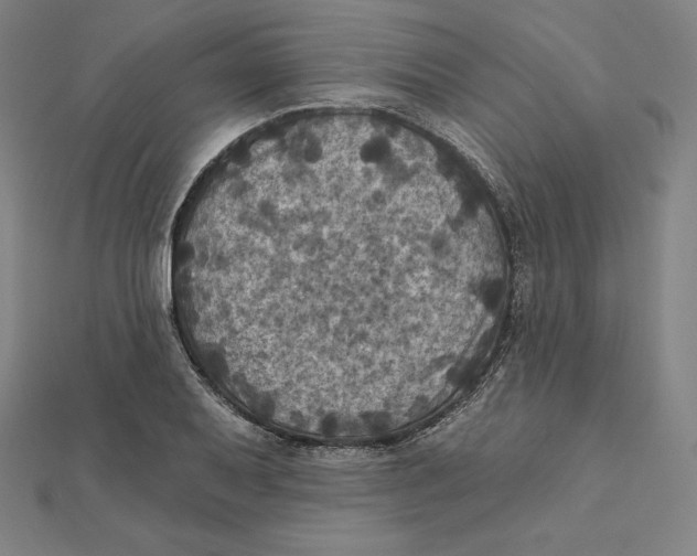 X0000112031079200908311210