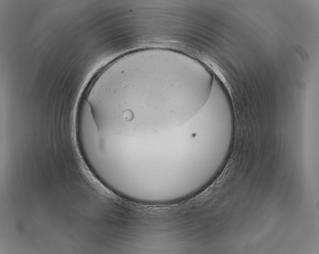 X0000112031080200908311210