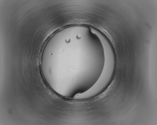 X0000112031081200908311210