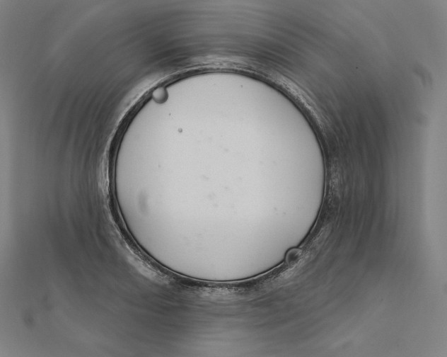 X0000112031082200908311210