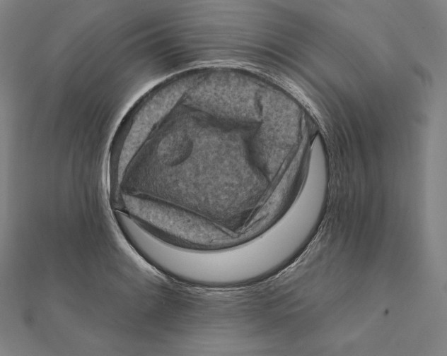 X0000112031084200908311210