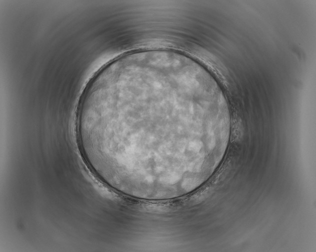 X0000112031086200908311210