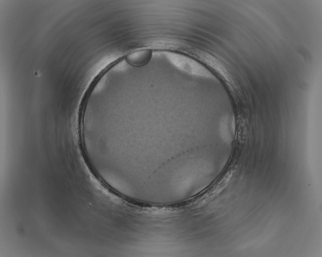X0000112031087200908311210