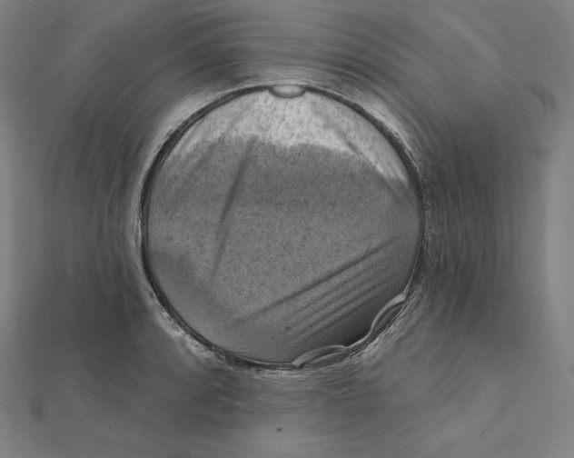 X0000112031088200908311210