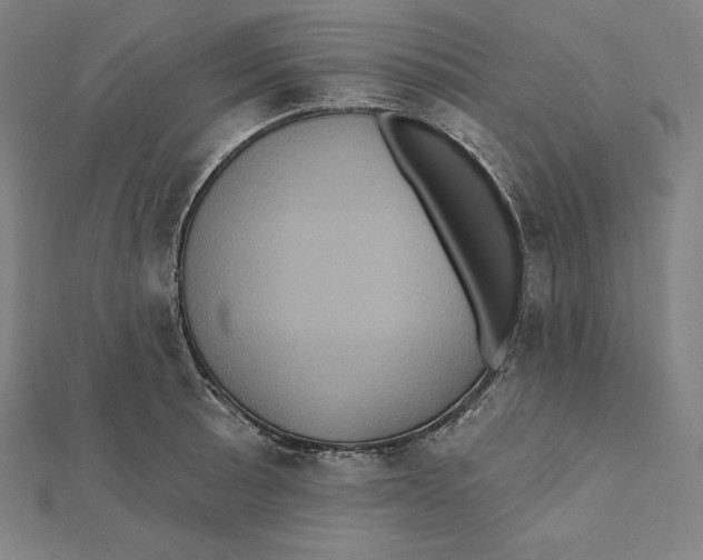 X0000112031089200908311210