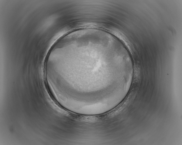 X0000112031090200908311210