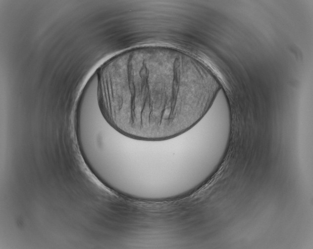 X0000112031092200908311210