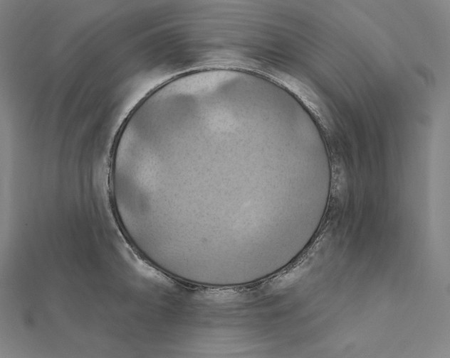X0000112031094200908311210