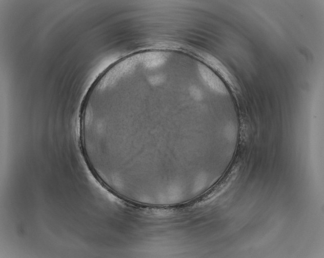 X0000112031095200908311210