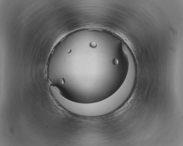 X0000112031097200908311210
