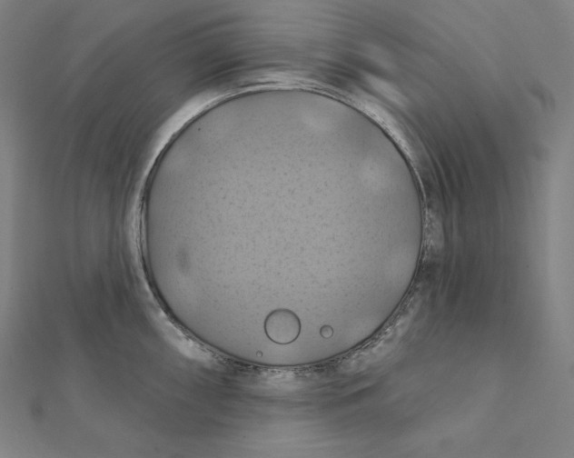 X0000112031098200908311210