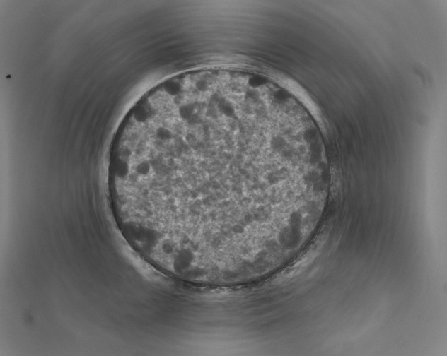 X0000112031099200908311210