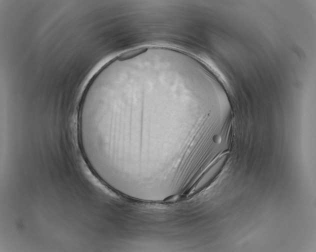 X0000112031100200908311210