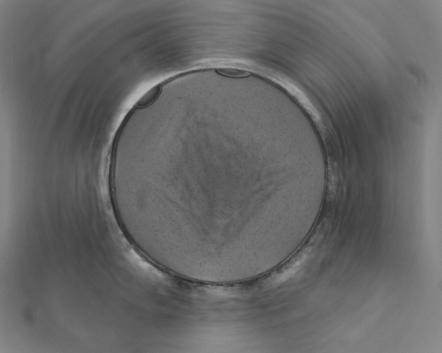 X0000112031102200908311210