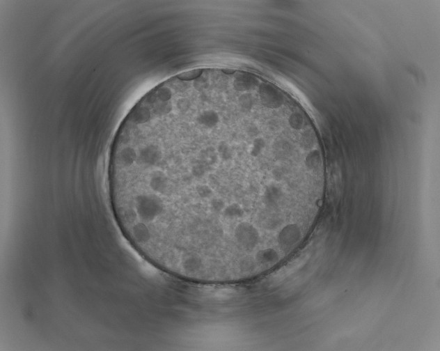 X0000112031103200908311210