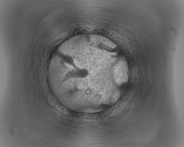 X0000112031105200908311209