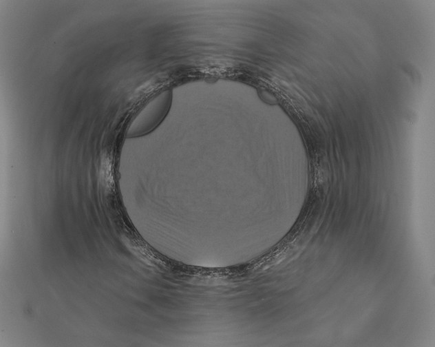 X0000112031106200908311209