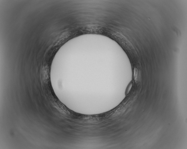 X0000112031107200908311209