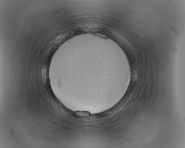 X0000112031108200908311209