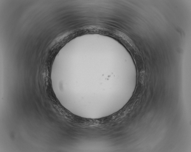 X0000112031111200908311209