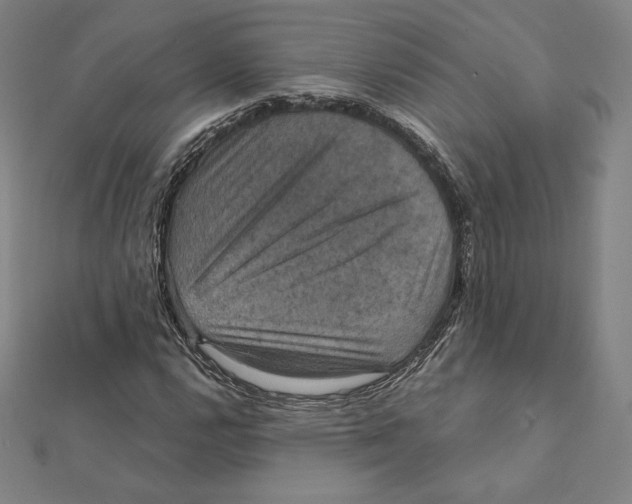 X0000112031112200908311209