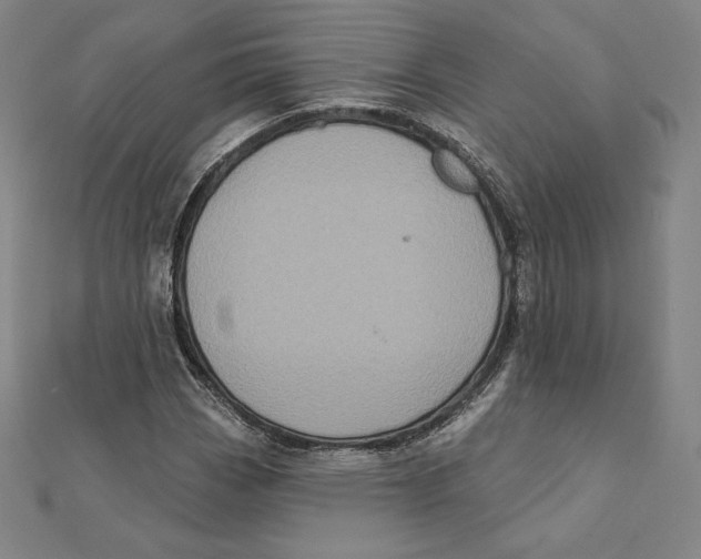 X0000112031113200908311209
