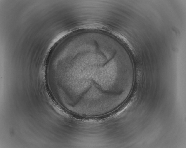 X0000112031114200908311209