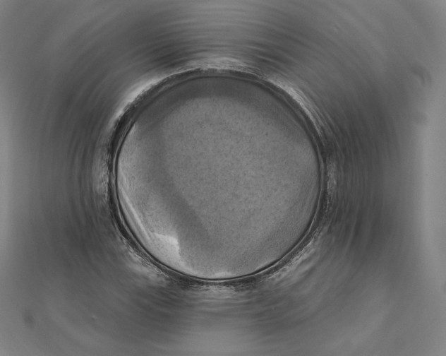 X0000112031115200908311210