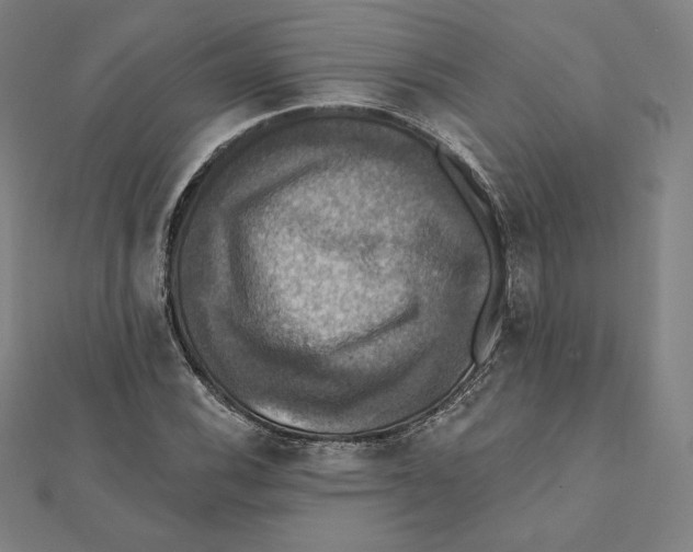 X0000112031116200908311210