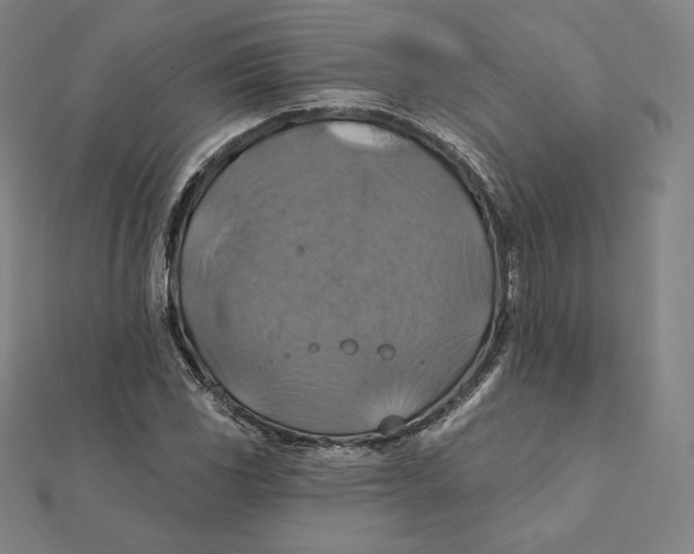 X0000112031117200908311210