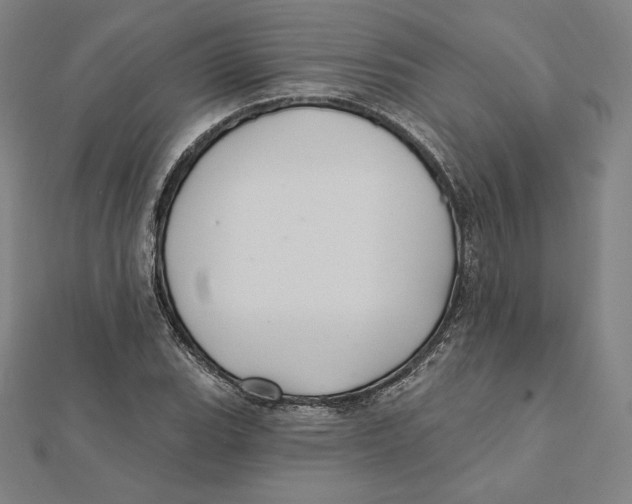 X0000112031119200908311210