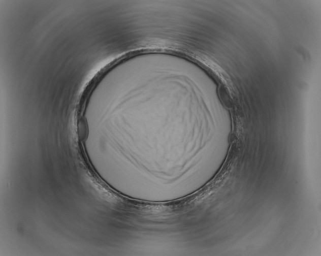 X0000112031120200908311210