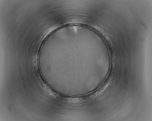 X0000112031121200908311210