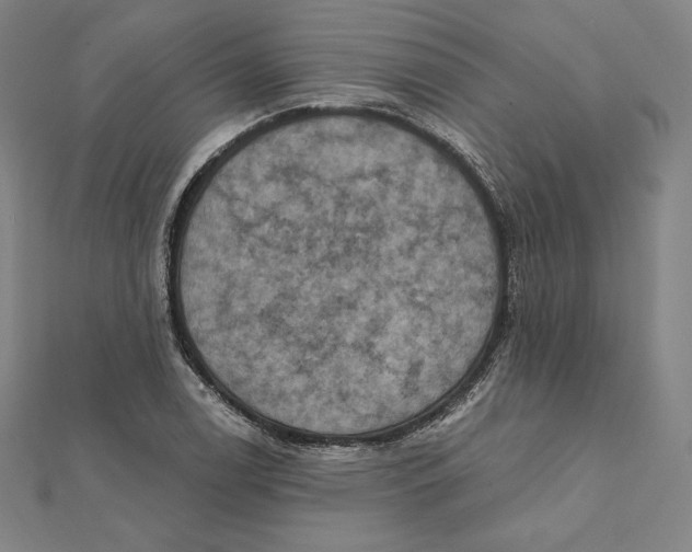 X0000112031122200908311210