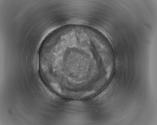 X0000112031123200908311210