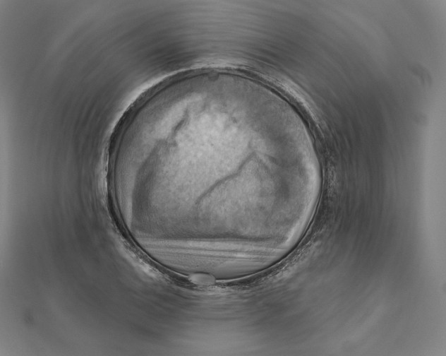 X0000112031124200908311210