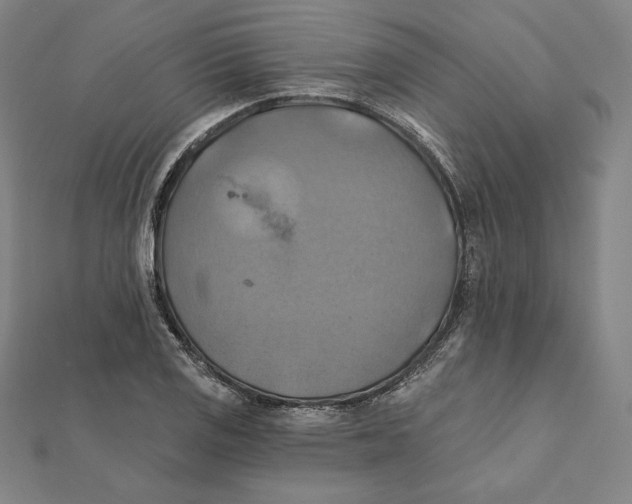 X0000112031125200908311210