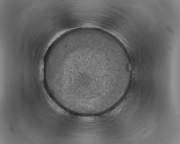 X0000112031126200908311210
