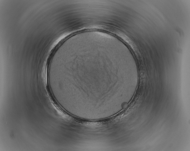 X0000112031127200908311210