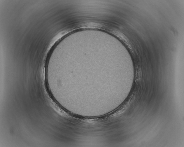 X0000112031130200908311210