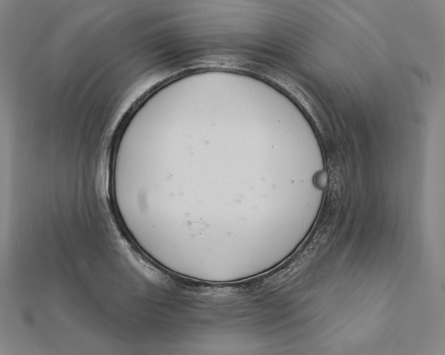 X0000112031131200908311210