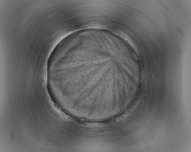 X0000112031132200908311210