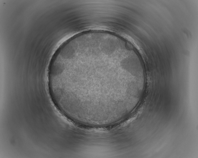 X0000112031133200908311210