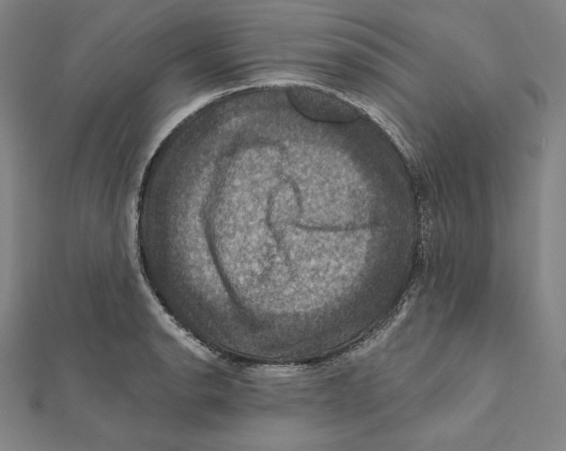 X0000112031134200908311210