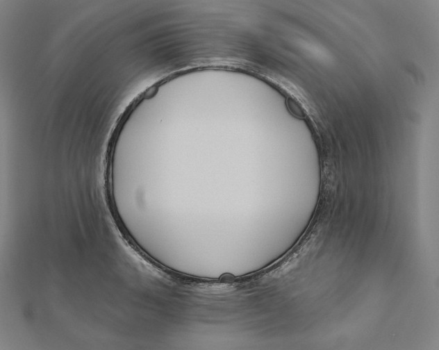 X0000112031135200908311210