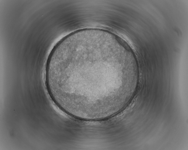 X0000112031136200908311210