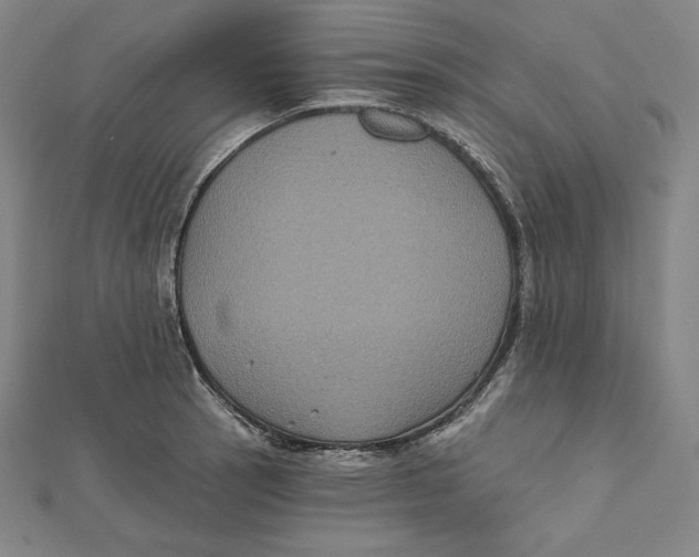 X0000112031137200908311210